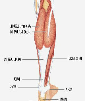 治疗跟腱炎.jpg 治疗跟腱炎.jpg