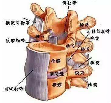 腰椎管狭窄的治疗.jpg 腰椎管狭窄的治疗.jpg