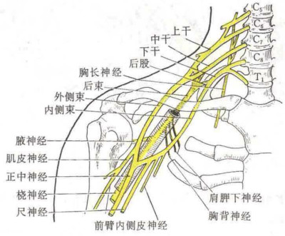 321708200389041931.jpg
