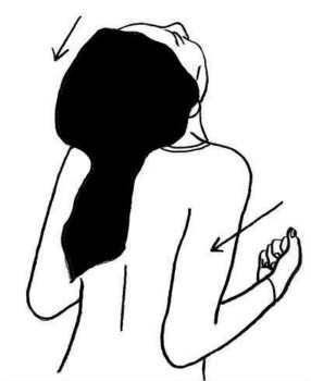 timg (17).jpg timg (17).jpg