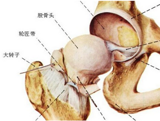 微信图片_20170817104819.png 微信图片_20170817104819.png