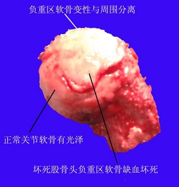 u=3783900543,4211273963&fm=26&gp=0.jpg