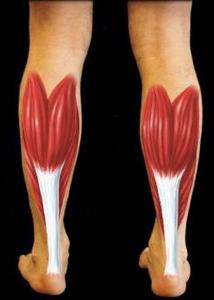 引起跟腱炎的情况.jpg 引起跟腱炎的情况.jpg