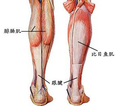 治疗跟腱炎的有效方法.jpg 治疗跟腱炎的有效方法.jpg