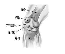 半月板损伤严重吗.jpg 半月板损伤严重吗.jpg