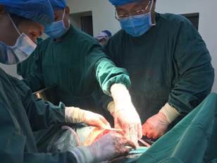 clip_image007.jpg 640.webp (2)