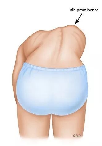 timg (17).jpg timg (17).jpg