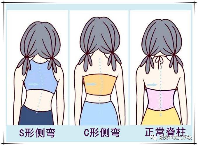 timg (24).jpg timg (24).jpg
