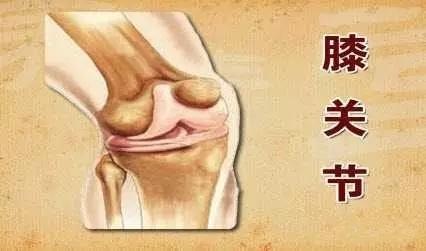 膝关节会嘎嘎嘎响是怎么回事.jpg 膝关节会嘎嘎嘎响是怎么回事.jpg